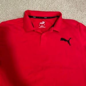 Puma polo